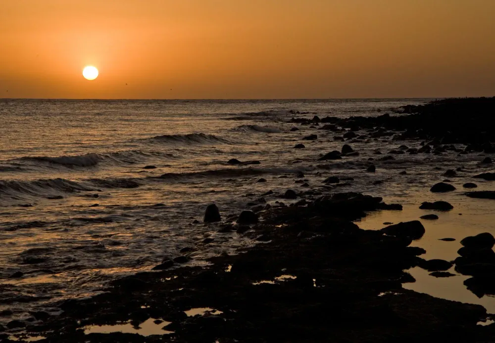 Puerto Penasco Things to Do